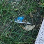 UNA SIRINGA NEI GIARDINETTI DEL PORTO. IN MEZZO AI BAMBINI…
