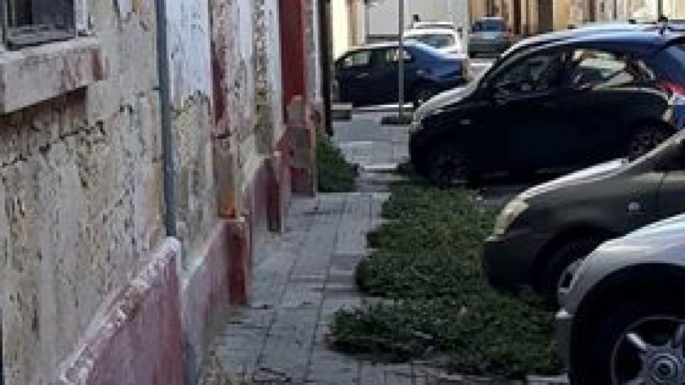 Ultime Notizie Su Erchie Provincia Di Brindisi