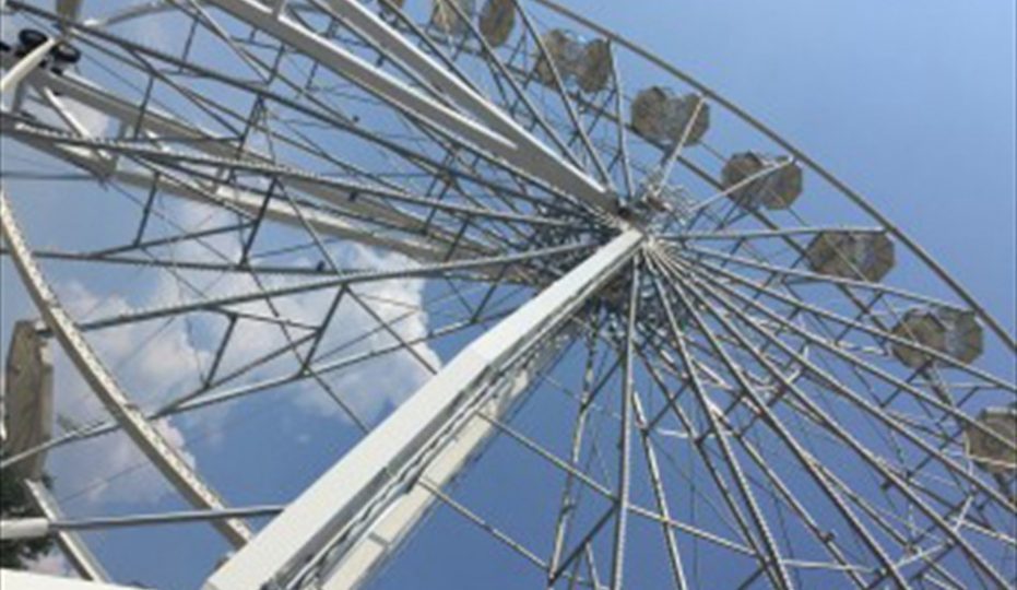 La Vita è Come Una Ruota Panoramica